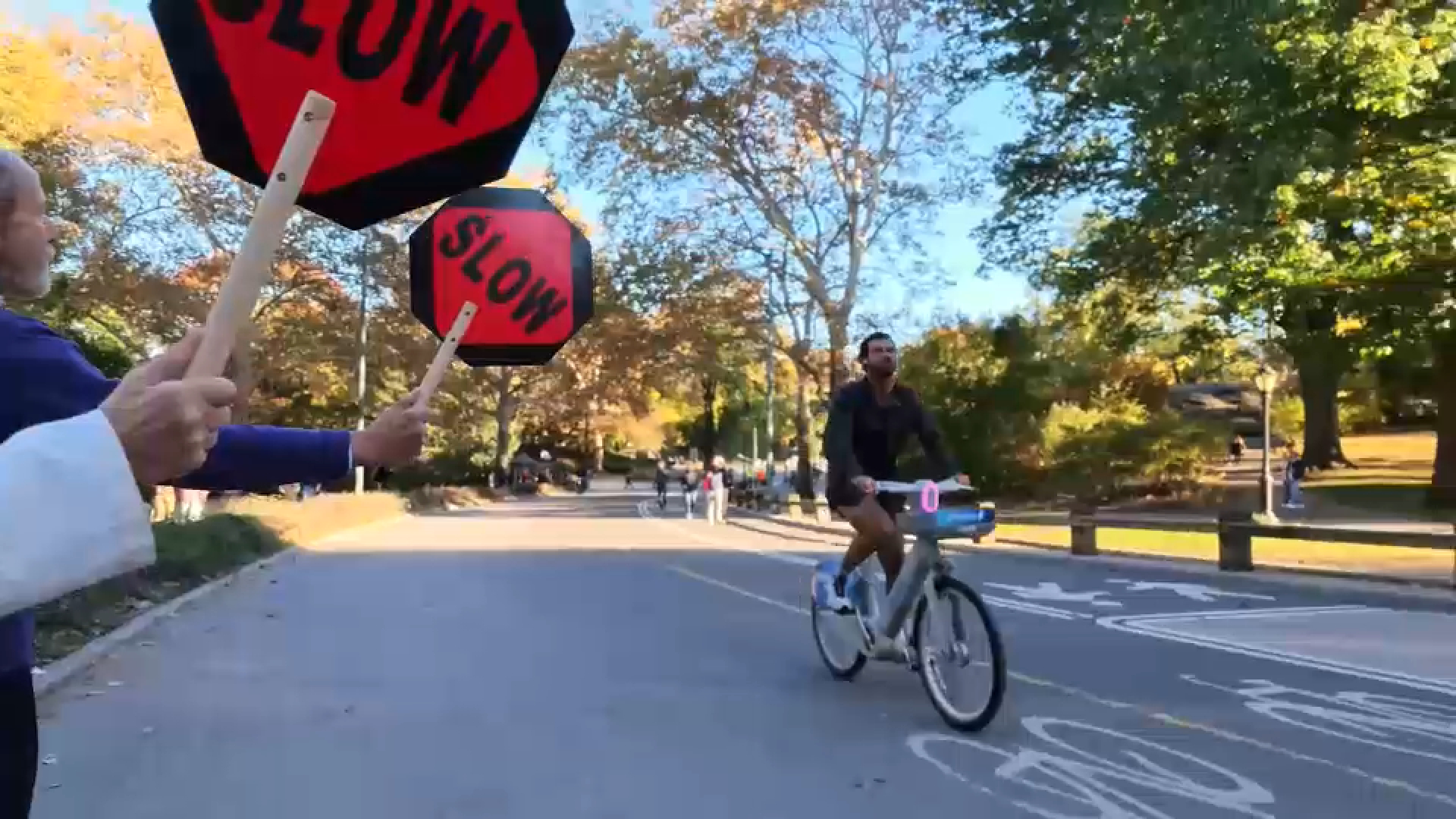 Protesters holding signs in Central Park advocating for e-bike safety