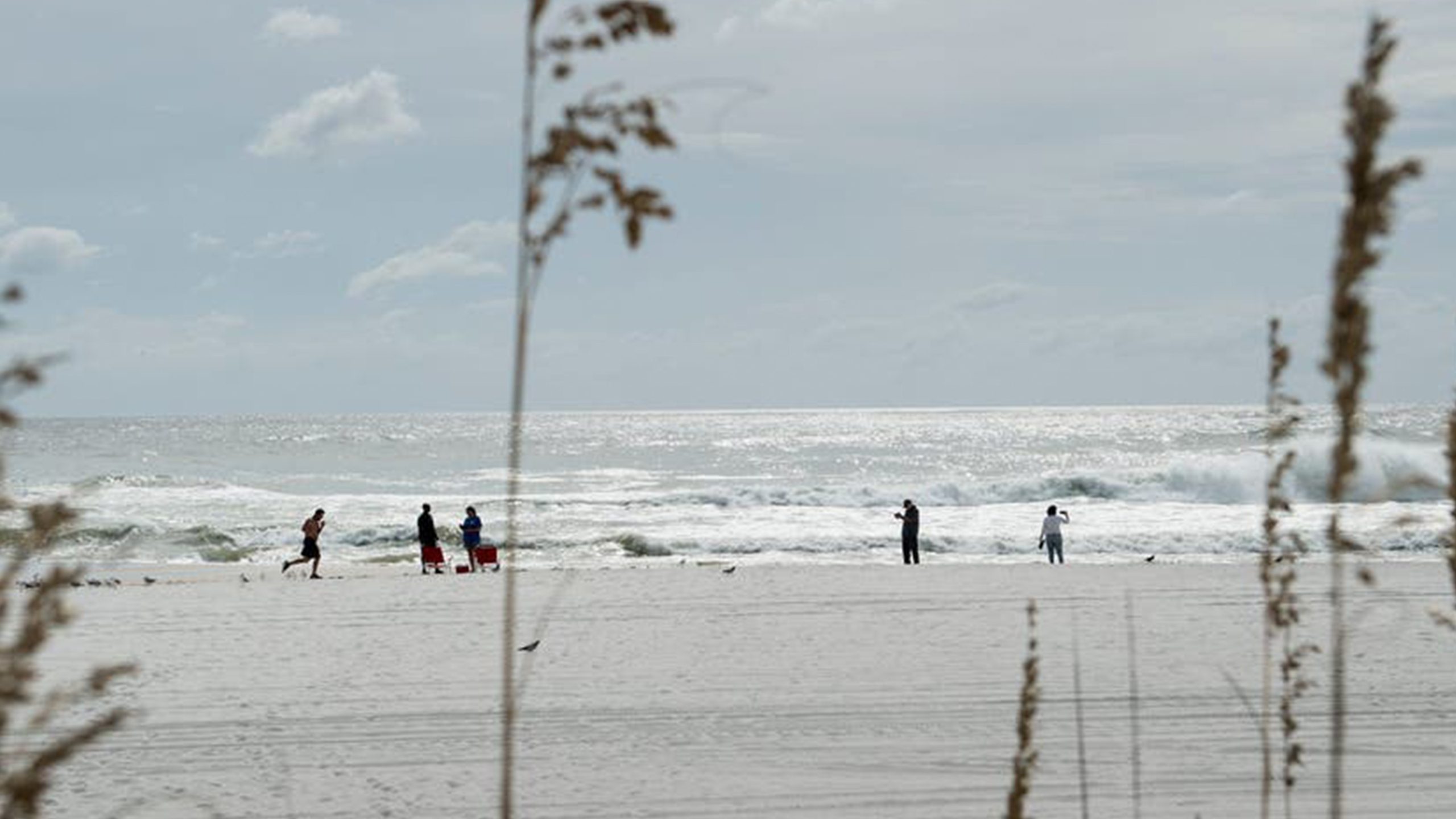 Father of 2 drowns after being caught in current trying to rescue seagull caught in fishing line — Hempstead Community news